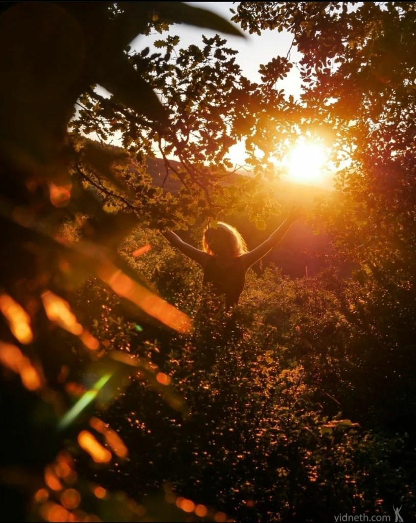 Photo of Priscilla with arms outstretched, emerging from the woods amidst a glorious sunset.