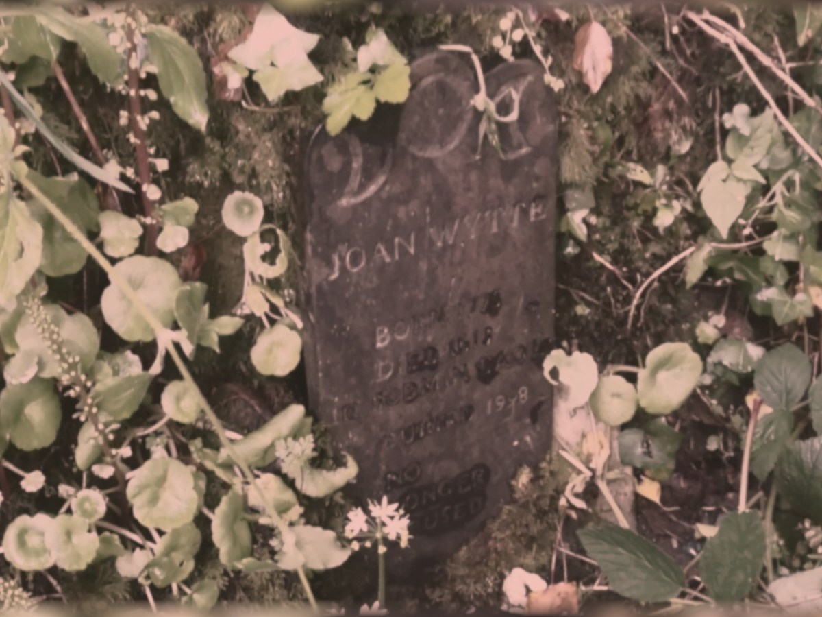 Folklore Ethics and Authenticity: The Curious Case of Joan Wytte, the Fighting Fairy Woman of&nbsp;Bodmin